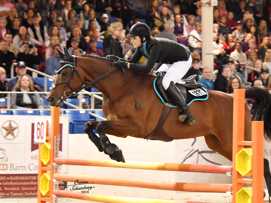 west-world-equestrian-roots