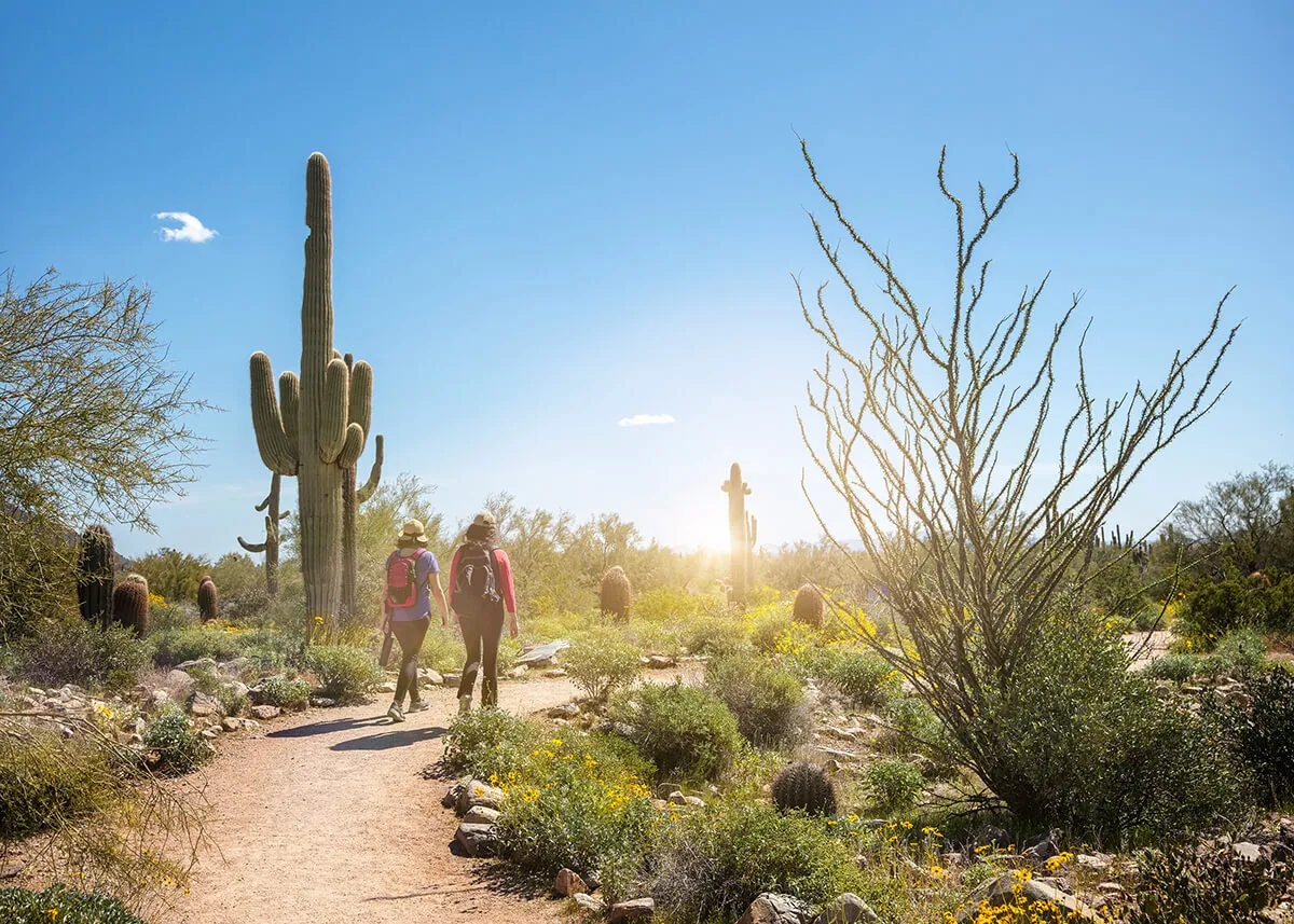 westworld-hikers-on-a-scottsdale-arizona-desert-trail