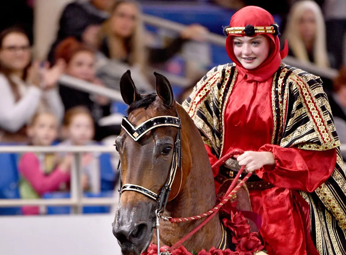 westworld-mounted-native-costume-horse