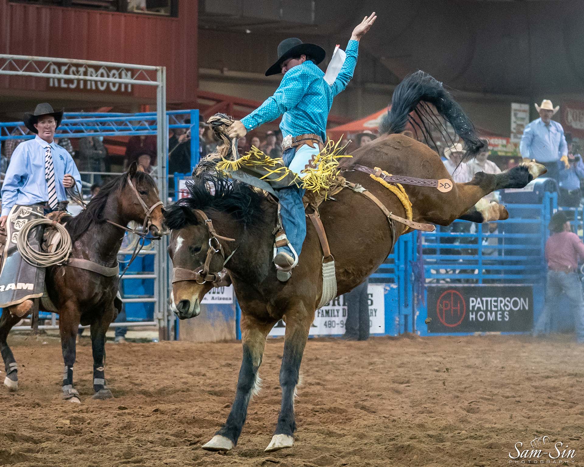 westworld-equine-show-7